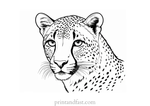 cheetah coloring page printable