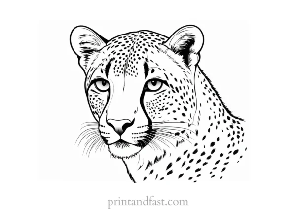 cheetah coloring page printable