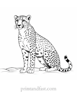 cheetah coloring page realistic