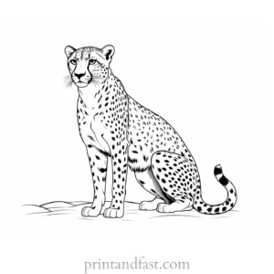 cheetah coloring page realistic