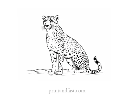 cheetah coloring page realistic