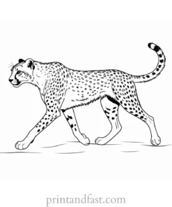 cheetah coloring page running