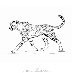 cheetah coloring page running