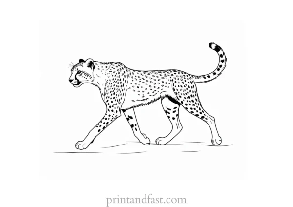 cheetah coloring page running