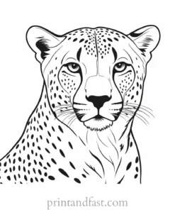 cheetah coloring page simple