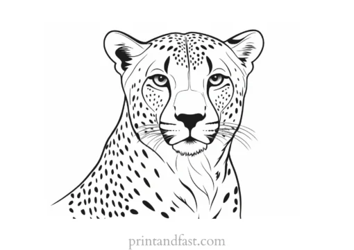 cheetah coloring page simple