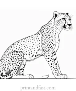 cheetah coloring page sitting