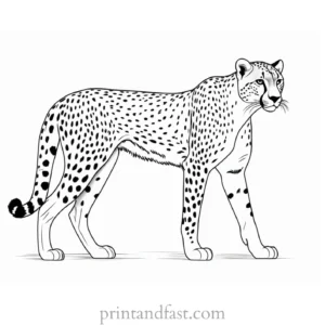 cheetah coloring page spots