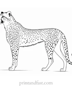 cheetah coloring page tail