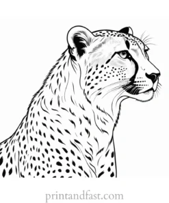 cheetah coloring page wildlife