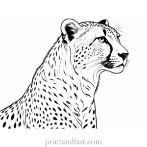 cheetah coloring page wildlife