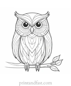 christmas owl coloring page