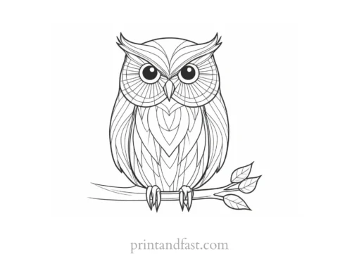 christmas owl coloring page