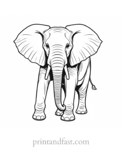 circus elephant coloring page