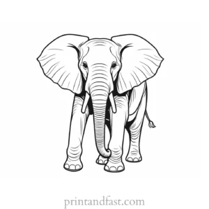 circus elephant coloring page