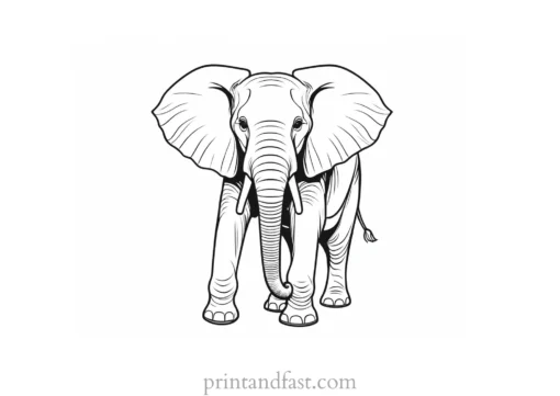 circus elephant coloring page