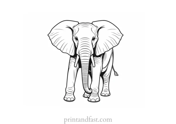 circus elephant coloring page