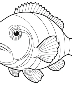 clown fish coloring page