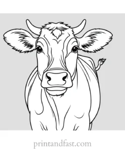 cow coloring page easy