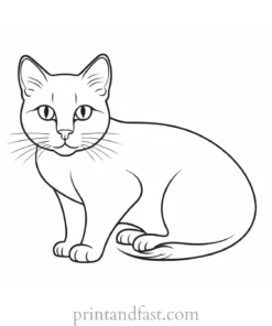 creative kitty coloring page