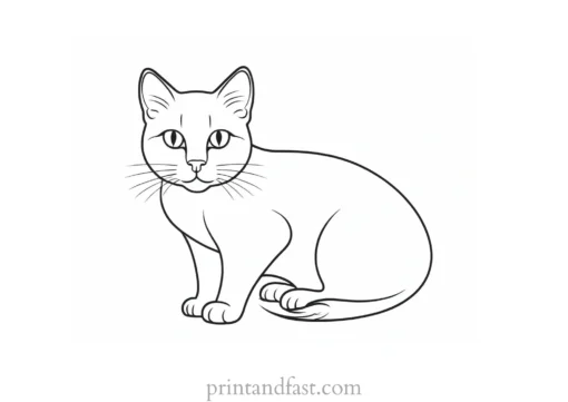 creative kitty coloring page