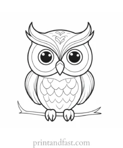 cute owl coloring page