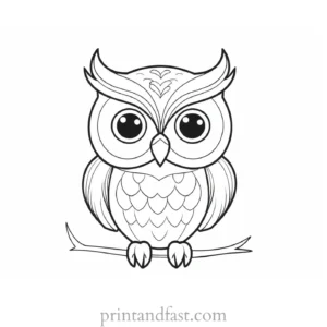 cute owl coloring page