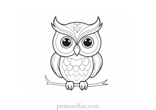 cute owl coloring page