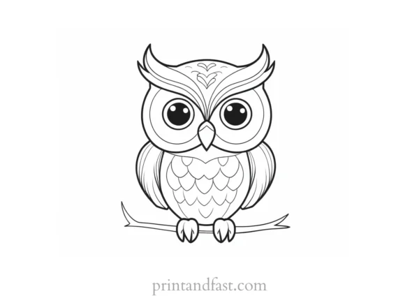 cute owl coloring page