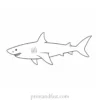 cute shark coloring page