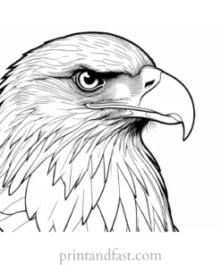 detailed eagle coloring page