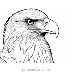 detailed eagle coloring page