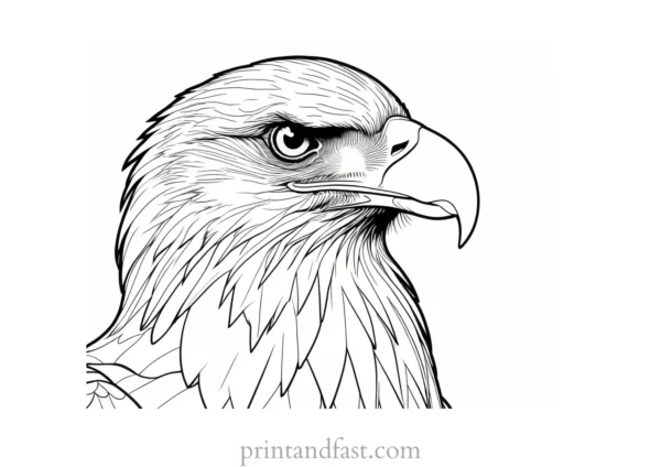 detailed eagle coloring page