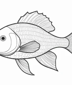 detailed fish coloring page