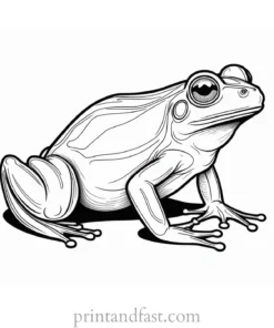 detailed frog coloring page