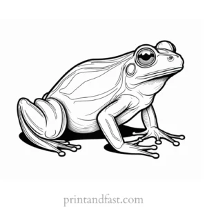 detailed frog coloring page