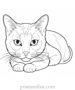 detailed kitty coloring page