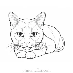 detailed kitty coloring page