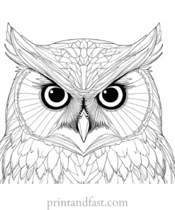 detailed owl coloring page