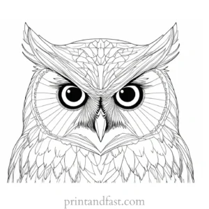 detailed owl coloring page