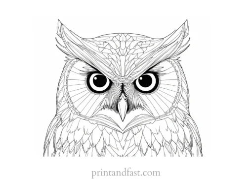 detailed owl coloring page