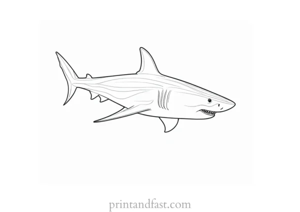 detailed shark coloring page