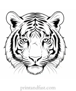 detailed tiger coloring page