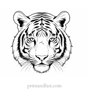 detailed tiger coloring page