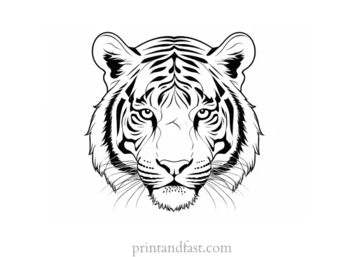 detailed tiger coloring page