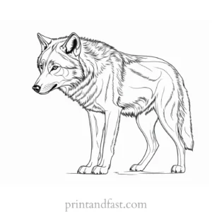 detailed wolf coloring picture