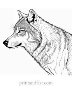 detailed wolf coloring sheet