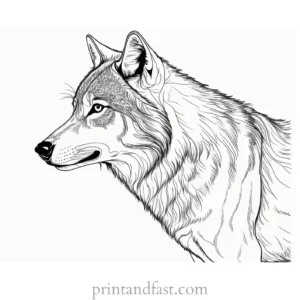 detailed wolf coloring sheet