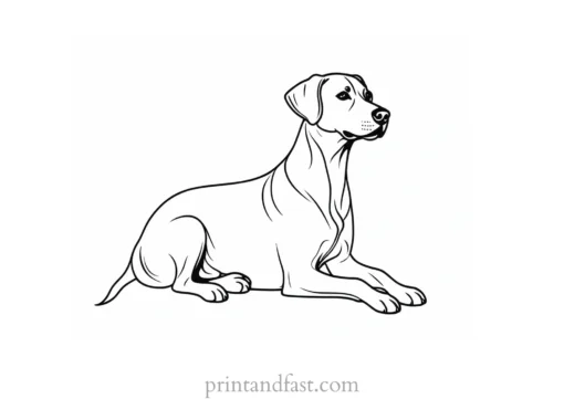 dog coloring page activity