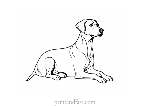 dog coloring page activity